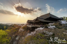 반대가 끌리는 이유, 오사카·규슈