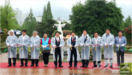 장미꽃 천지, 도서관도 있는 창원 장미공원으로 오세요