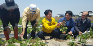 농협, 가뭄 피해 지역에 3천억 원 규모 무이자 자금 지원