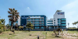 제주 여행 즐거움 더해줄 숙소 BEST4