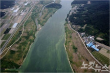 낙동강 칠곡보 인근에도 녹조 관심 단계 발령