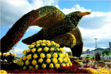 마산 가고파 국화 축제 기간·장소 변경된다
