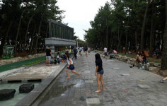 포항 송림테마거리 도심 속 힐링숲 각광