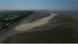 고창군, 2019년까지 염생생물 갈대 칠면소 군락지 등 갯벌식물원 조성