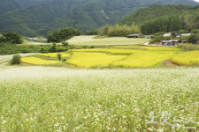 부담없이 떠나는 무박여행