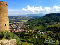 혼행족이 사랑하는 유럽도시 BEST3