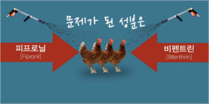 [노컷V]살충제 계란 49개 농장 확정...조사는 계판?