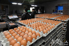 문 대통령 살충제 계란 파동에 매우 송구