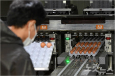 축사 현대화 혈세 7조원 살충제 계란으로 돌아왔다