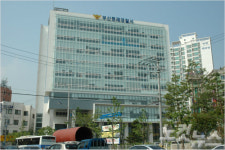 술 취해 쓰러진 여성 가방 훔친 50대 입건