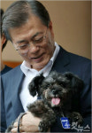 [영상] 마크롱 대통령, 퍼스트 도그로 유기견 입양 
