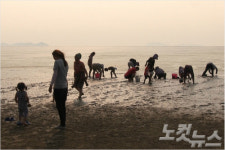 영광갯벌축제 14일 팡파르