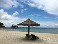 하루 종일 당신의 힐링을 책임진다