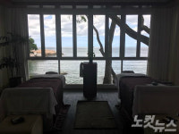 하루 종일 당신의 힐링을 책임진다