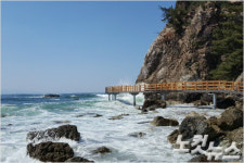 호미반도 해안둘레길 생태교육 장 육성 필요