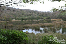 제주 물장오리오름은 멸종위기조류 천국