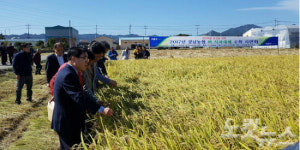 경남농협, 벼 직파재배 농법 경남 전역으로 확대한다