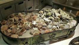 칭다오의 봄꽃 향기와 함께하는 골프여행