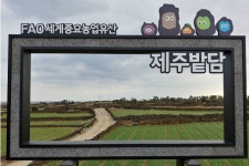 걷기 좋은 '제주'의 봄