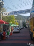 목련꽃 피었지만… 목련시장은 여전히 겨울