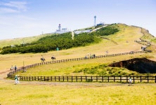 우도·마라도·가파도·비양도…제주 