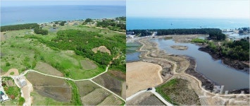 강릉 순포습지 복원…인간과 생태습지의 만남