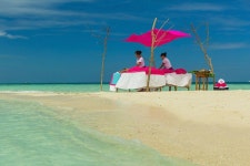 바로 눈앞에 만타가오리가? 빌루 리프 리조트