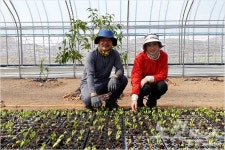 무농약 작두콩으로 억대 소득 귀농 부부 화제 