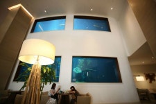 신혼부부들 사랑 한 몸에…하와이 와이키키 리조트 알로힐라니