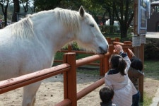 아는 만큼 보이는 제주 현지투어