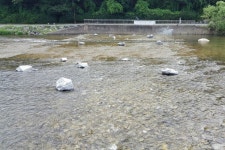 성남시, 탄천 미금보 없애고 자연형 여울로 재탄생