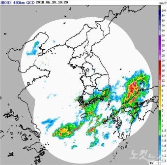 장마·태풍 영향권 대구·경북, 주말 시간당 30 강한 비