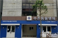 여름 휴가철 반려동물 수난…유기동물 구조 평소보다 두 배 많아
