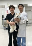 경상대 정동인 교수팀 국내 동물용 캡슐내시경 첫 성공