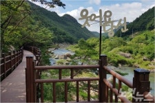 충북 영동 황간 월류봉 둘레길 조성 마무리
