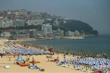 해운대구 해운대 관광시설 관리 공단 설립 추진