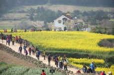 슬로시티 완도 청산도 10주년, 청산도의 아름다움을 한 자리에