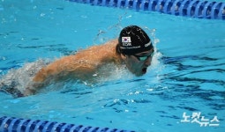 역영하는 장규철