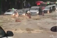 [영상] 차량 고립까지…광주 도심 물폭탄에 아수라장