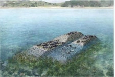 백령도 바다에 점박이물범 쉼터 조성  