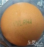 세종 농장 계란서 피프로닐 대사산물 검출