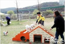 청주 반려동물놀이터 위치 문암생태공원 유력