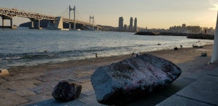 태풍 콩레이 때 부산 수변공원에 바위 10여개 떠밀려와