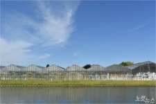 농업을 통한 재활과 치유, 네덜란드 케어팜을 가다