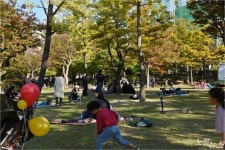 부산 남구 평화공원 잔디광장 개방한다