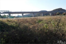 부산 향하던 SRT 열차 동대구역 인근서 멈춤 사고