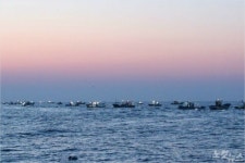 강원도, 평화의 바다 추진전략 회의 개최