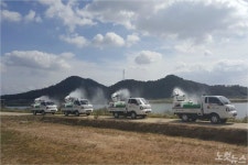 충남 아산서 AI 항원 검출