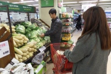 경기도, 기준치 넘는 살충제 들어간 김장재료 적발