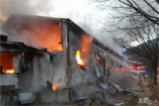 포천 돼지 축사 3개동 불…돼지 960마리 폐사